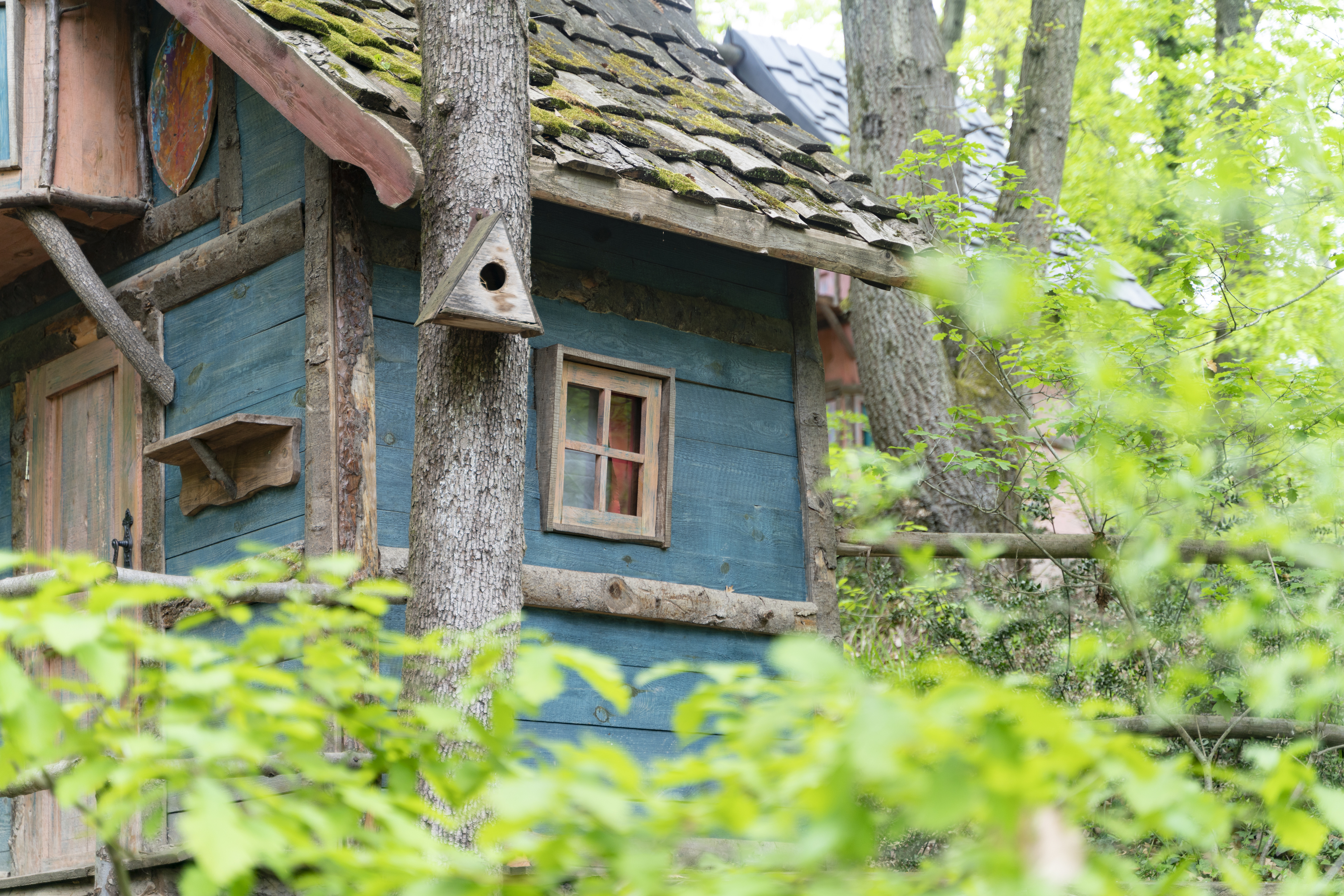 Professionally designed plant installation